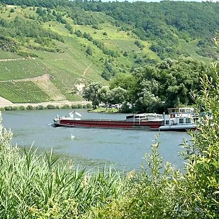 Vier Loewen