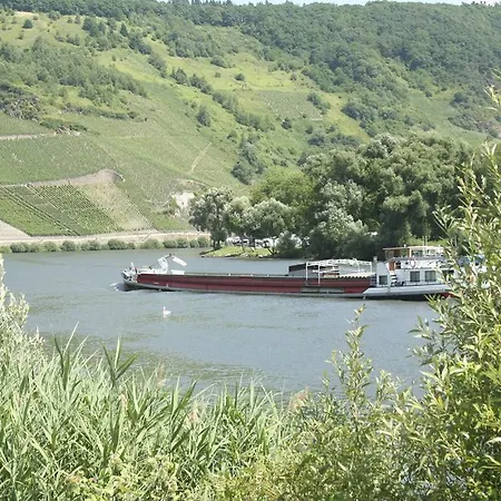 Vier Loewen Traben-Trarbach