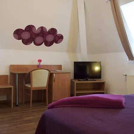 Hotel Vier Loewen