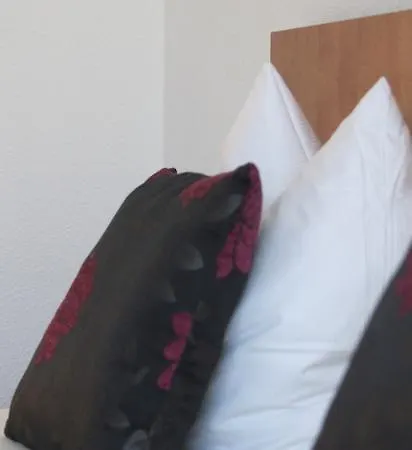 Vier Loewen Hotel 2*