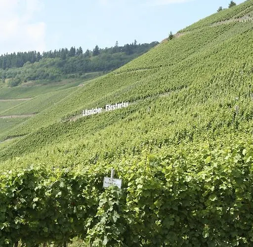 Vier Loewen Hotel Traben-Trarbach