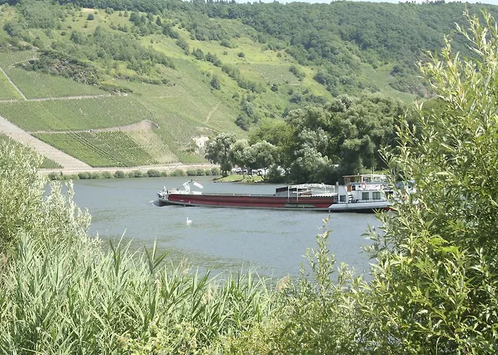 Vier Loewen Traben-Trarbach