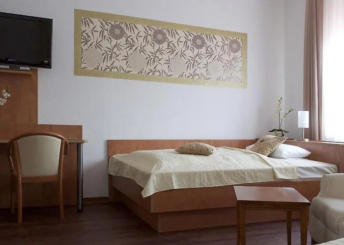 Vier Loewen Hotel 2*