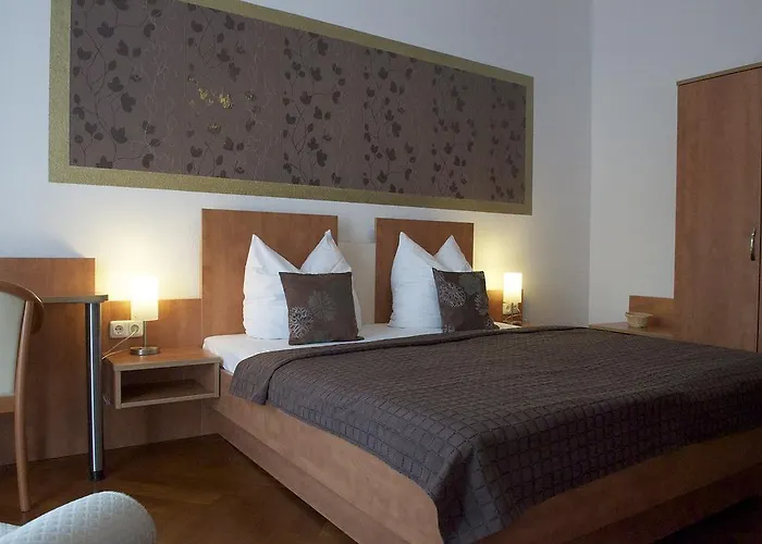 Hotel Vier Loewen 2*