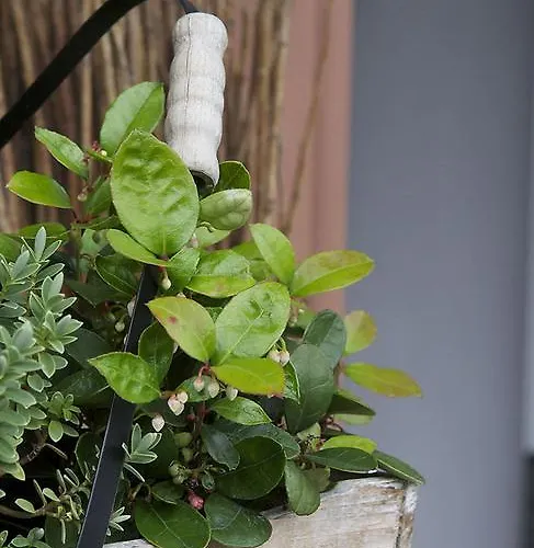 Hotel Vier Loewen 2*