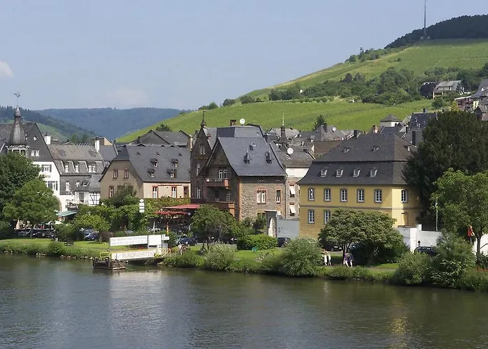 Vier Loewen Hotel 2*